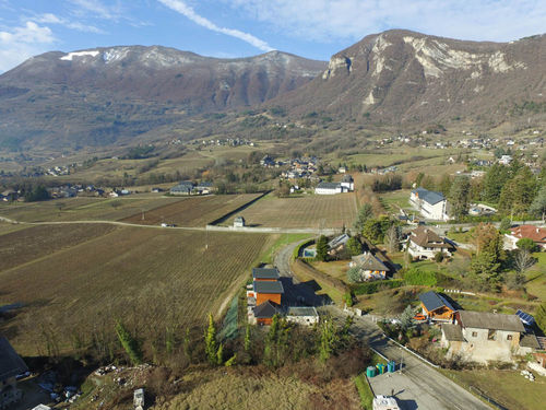Roussanne